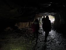 Thumbnail of photo from this article